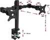 Monitorihoidja ErgoSolid NF 12, 17-30 tolli, kuni 10 kg