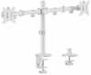 Kahe monitori kinnitus Equip 650167, 17-32 tolli, kuni 9 kg, valge
