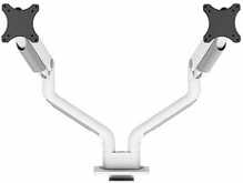 Monitori kinnitus Neomounts DS70S-950WH2, 17-35 tolli, valge