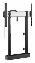 Monitorialus Vogels RISE 2005, 65-86 tolli, must