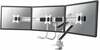 Monitori kinnitus NewStar NM-D775DX3WHITE, 17-27 tolli, kuni 6 kg, valge
