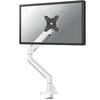 Monitori lauakinnitus Neomounts DS70-250WH1, 17-35 tolli, kuni 9 kg, valge