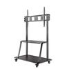 Televiisori põrandastend Neomounts NS-M4000BLACK, 60-105 tolli, must