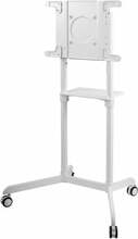 Mobiilne monitorialus Vivolink VLFS3770, 37-70 tolli, kuni 70 kg, valge