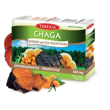 Terezia chaga ja reishi seened astelpajuõliga, 60 kapslit