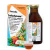 Vedelikujook Floradix Saludynam, 250 ml