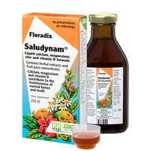 Vedelikujook Floradix Saludynam, 250 ml