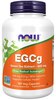 Now Foods EGCg rohelise tee ekstrakt 400 mg, 180 kapslit