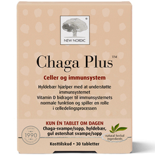 New Nordic Chaga Plus, 30 tabletti