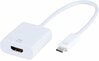 Adapter USB-C/HDMI Vivanco 45253, 0.15 m, valge