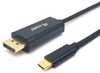 Adapter USB-C 	o DisplayPort Equip 133427, 2 m, hall