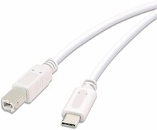 Kaabel USB-C/USB-B Vivanco 45356, 3 m, valge