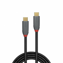USB-C kaabel Lindy 36901, 1 m, anthra