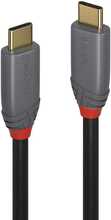 Kaabel USB-C Lindy 36903, 2 m, must