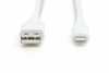 Kaabel Digitus AK-600108-005-W Lightning 0,5 m, valge