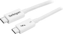 Kaabel StarTech TBLT34MM50CW, 0.5 m, valge