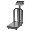 Platvormkaal Wagi Tarczyn WT-1030, 300 kg