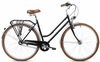 Jalgratas Romet Vintage Classic D, 28, L, must