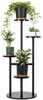 Lillealus Strado Fino, must, 4-astmeline, 6 potile