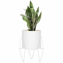 Lillealus Springos GA0163, 145 mm x 165 mm x 220 mm, valge
