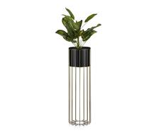 Lillealus Howhomely, 70 cm, must