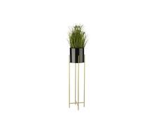 Lillealus Howhomely, 95 cm, must/kuldne