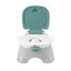 Multifunktsionaalne pissipott Fisher Price 3in1 GYP61