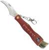 Seenenuga Speck SCK Mushrooms CC-GC105, pruun, kompassiga