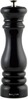 Soola- ja pipraveski Salter Chester BW13676EU7, must