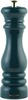 Soola- ja pipraveski Salter Chester BW13676GREU7, roheline