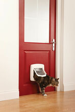 Magnetuks kassidele PetSafe, kuni 7 kg, puidu imitatsioon