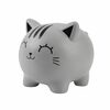 Rahakassa iTotal Grey Cat, XL2501, hall