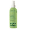Juukseid lahtikammiv sprei Attitude Super Leaves Hair Detangler, 240 ml