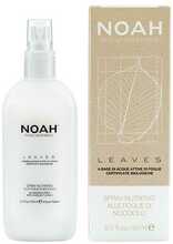 Juukseprits Noah Leaves Lazdynų riešutų Spray, 150 ml