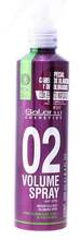 Juuksesprei Salerm Proline Volume Spray Root Lifter, 250 ml
