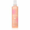 Silendav sprei ohjeldamatutele juustele Echosline Discipline Spray, 200 ml