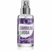 Lavendlivesi Purity Vision Bio Lavender Water, 100 ml