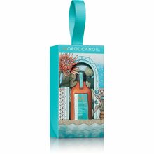 Moroccanoil õli õhukestele ja nõrkadele juustele MOROCCANOIL 25 ml