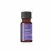 Toitev juukseõli Moroccanoil Purple Treatment, 10 ml