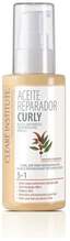 Taastav õli defineeritud lokkidele Cleare Institute Banner CURLY CURLY, 50 ml