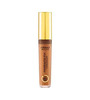 Peitekreem Armaf Parfaite Fix Concealer, 06 Tan, 5,8 g