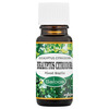 Eeterlik õli Saloos, Eucalyptus citriodora, 10 ml