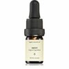 Eeterlik õli Smells Like Spells, piparmünt, 5ml