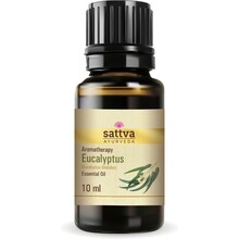 Eeterlik õli Sattva Ayurveda, eukalüpt, 10 ml
