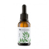 Eeterlik õli Eurostil, salvei, 15 ml