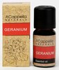 Eeterlik õli Acappella, nelk, 10 ml