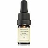 Eeterlik õli Smells Like Spells, kaneelikoore, 5 ml