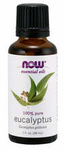 Eeterlik õli Now Foods, eukalüpt, 30 ml