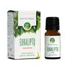 Eeterlik õli Mėta, eukalüpt, 10 ml