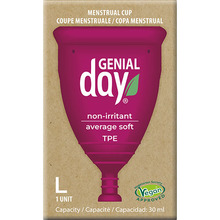 Ökoloogiline menstruaalanum Gentle Day, L suurus, 1 tk
